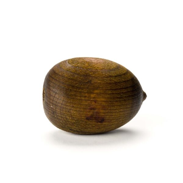 Boles d'olor - Houten geurfruit - KIWI